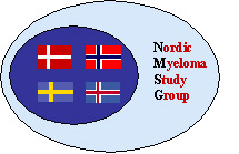 logo for Nordic Myeloma Study Group
