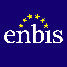 logo for European Network for Business and Industrial Statistics
