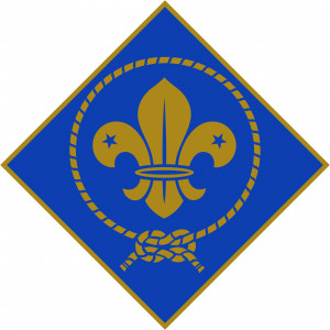 logo for European Scout Foundation