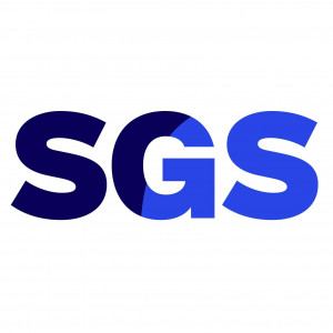 logo for St Gallen Foundation for International Studies