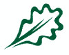 logo for European Institute of the Cultivated Forest