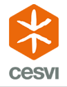 logo for CESVI Fondazione