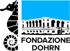 logo for Fondazione Antonio e Rinaldo Dohrn