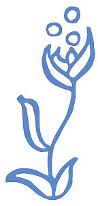 logo for Espoir sans frontières