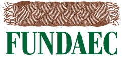 logo for Fundación para la Aplicación y Enseñanza de las Ciencias