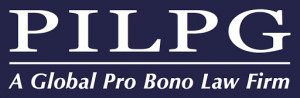 logo for Public International Law and Policy Group