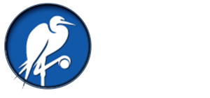 logo for Global Security Institute