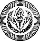 logo for Central Treaty Organization