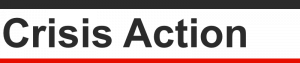 logo for Crisis Action