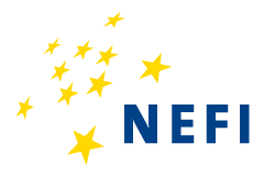 logo for Network of European Financial Institutions for SMEs