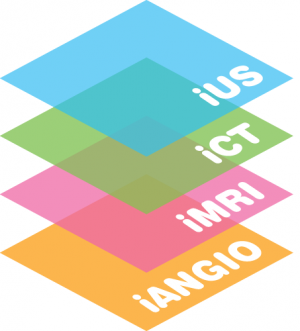 logo for Intraoperative Imaging Society