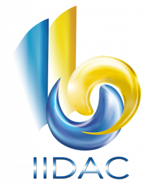 logo for International Institute for the Development of the Citizenship