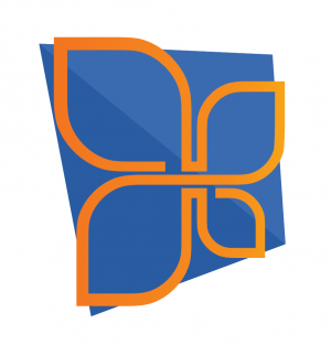 logo for Réseau francophone international pour la promotion de la santé