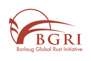 logo for Borlaug Global Rust Initiative