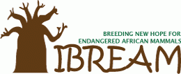 logo for Institute for Breeding Rare and Endangered African Mammals