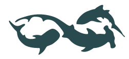 logo for Shark Research Institute