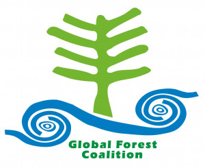 logo for Global Forest Coalition