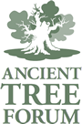 logo for Ancient Tree Forum