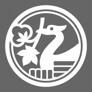 logo for International Cotton Association