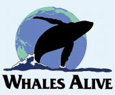 logo for Whales Alive