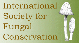 logo for International Society for Fungal Conservation