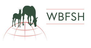 logo for World Breeding Federation for Sport Horses
