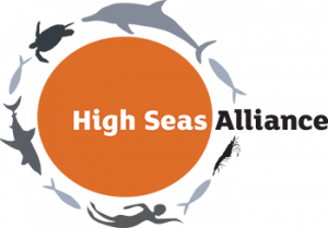 logo for High Seas Alliance