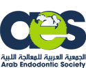 logo for Arab Endodontic Society