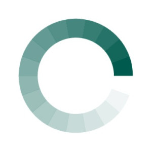 logo for Catalytic Finance Foundation