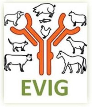 logo for European Veterinary Immunology Group