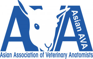 logo for Asian Association of Veterinary Anatomists