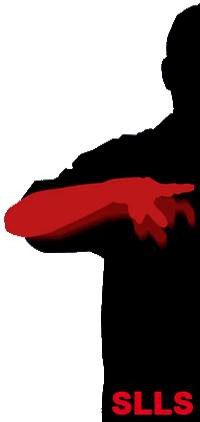 logo for Sign Language Linguistics Society
