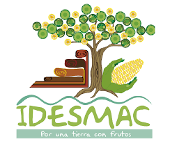 logo for Instituto para el Desarrollo Sustentable en Mesoamérica