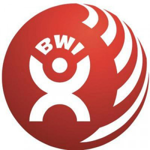 logo for Building and Wood Workers' International