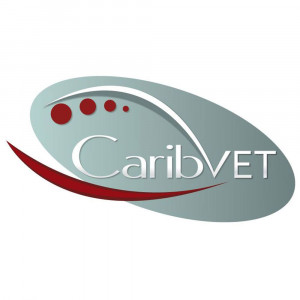 logo for Caribbean Animal Health Network