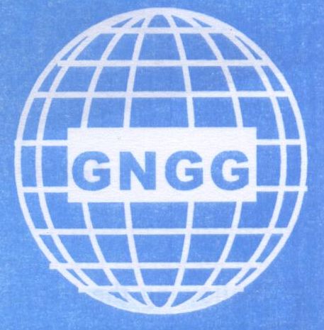logo for Global Network for Good Governance