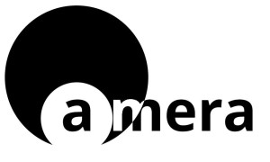 logo for AMERA International