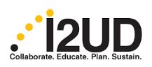 logo for Institute for International Urban Development