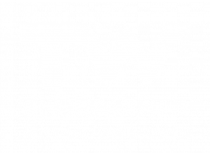 logo for TerraWatt Initiative