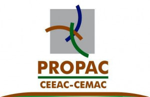 logo for Plateforme Régionale des Organisations Paysannes d'Afrique Centrale