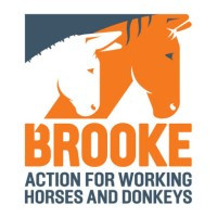 logo for The Brooke