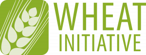 logo for Wheat Initiative
