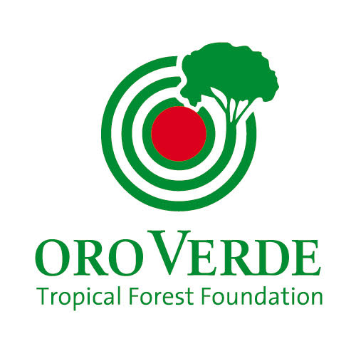 logo for OroVerde - Die Tropenwaldstiftung