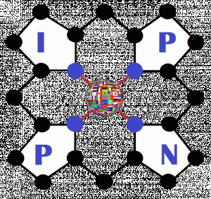 logo for International Porphyria Patient Network