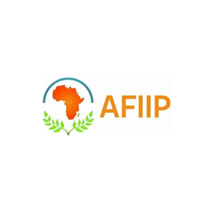 logo for African International Institute for Peace