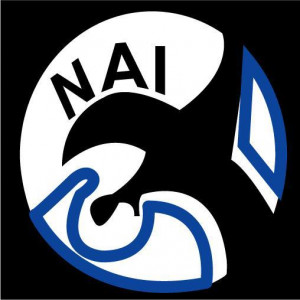 logo for Negro Airmen International