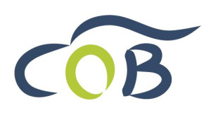 logo for Council of Bureaux