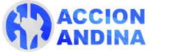 logo for Andean Action