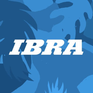 logo for IBRA Media