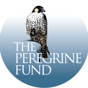 logo for The Peregrine Fund